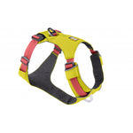 Hi & Light Harness