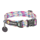 Front Range Collar