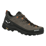 Men's Alp Trainer 2 Gore-Tex Shoe