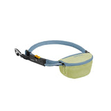 Hitch Hiker Leash