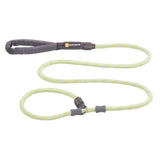 Just-a-Cinch Leash