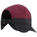 VigCap